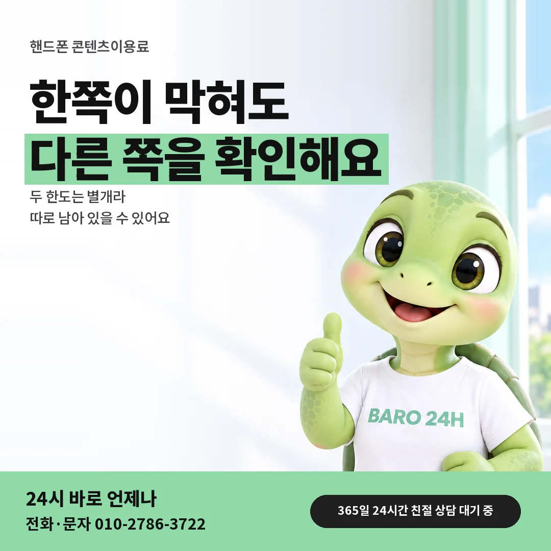 BARO 24H 티셔츠를 입은 3D 거북이 캐릭터 옆에 「핸드폰 콘텐츠이용료 함께 보기」 제목을 얹은 안내 카드